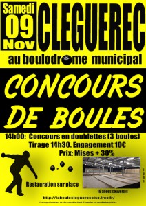 affiche 9 nov2024 pub
